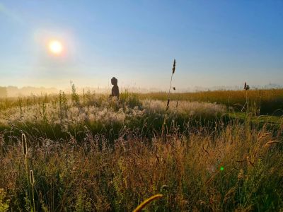 Landschap Land van Yemaya Yoga Retreat Ibiza